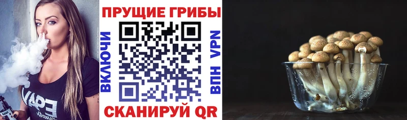Псилоцибиновые грибы MAGIC MUSHROOMS Старый Крым